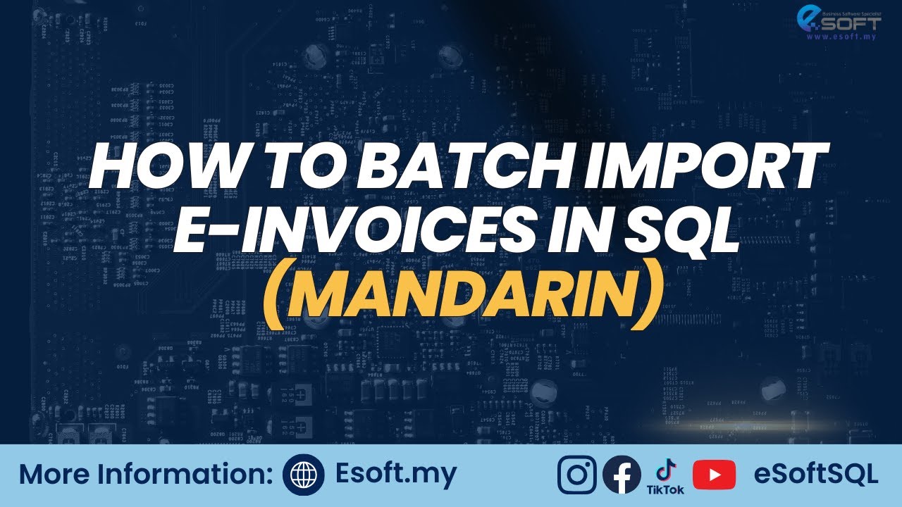 BATCH IMPORT E INVOICE (MANDARIN)