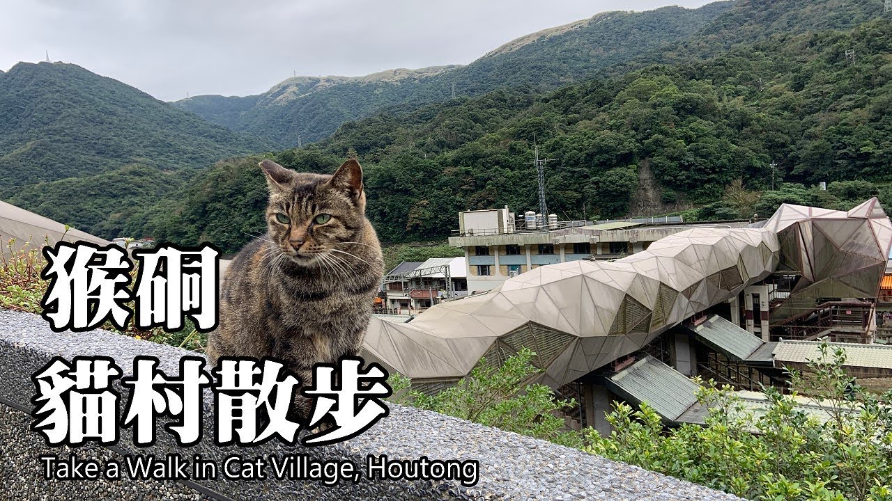 猴硐貓村散步 ~ 新北市瑞芳區 (Houtong Cat Village)