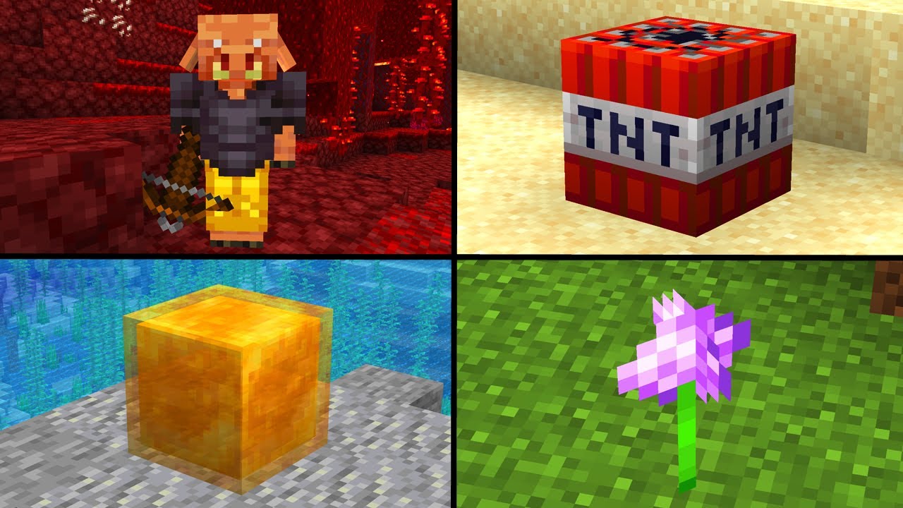 5 Dinge in Minecraft, die du noch nicht wusstest! #202