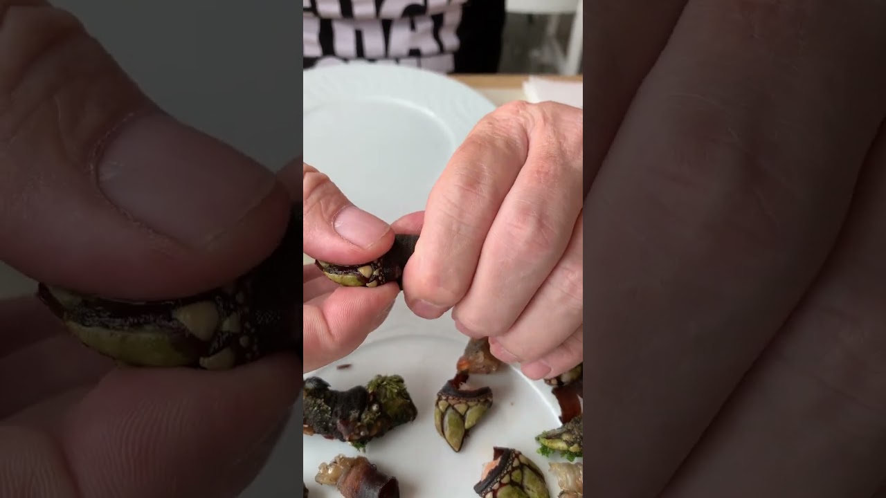 Would you eat percebes?!