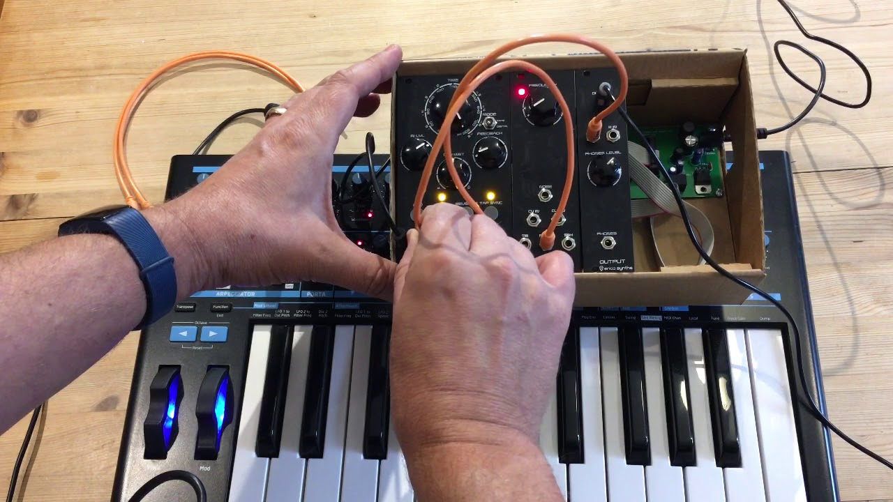Erica Synths DIY Delay