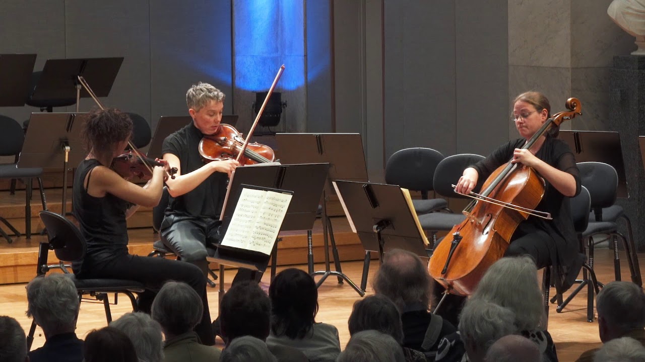 Franz Schubert: String Trio in B-flat major, D.581