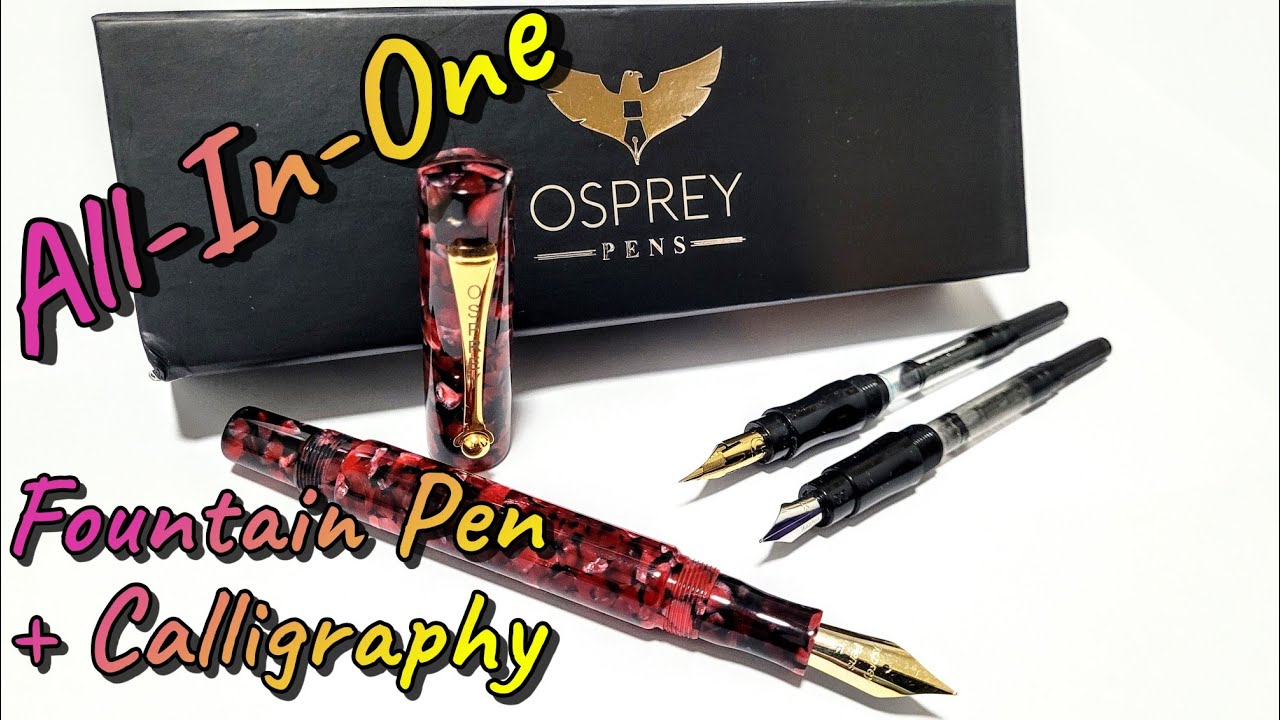 Gorgeous All In One Fountain Pen