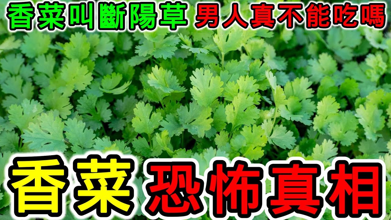 香菜的營養價值，香菜的功效，香菜的副作用，香菜為什麼叫斷陽草？香菜對胃有好處嗎？香菜對腎好嗎？香菜可以降血糖嗎？香菜可以排毒嗎？香菜不能和什麼一起吃？香菜什麼人不能吃？