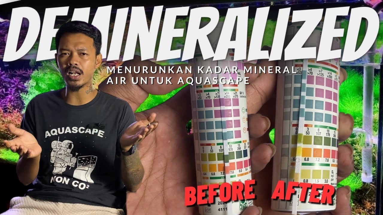 Tutorial Menurunkan Kadar Mineral Air untuk Aquascape