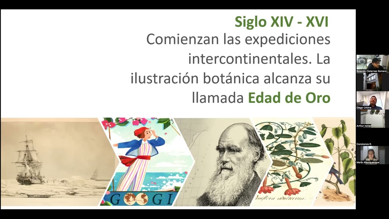 TALLER DE ILUSTRACIÓN BOTÁNICA, CLASE ONLINE.