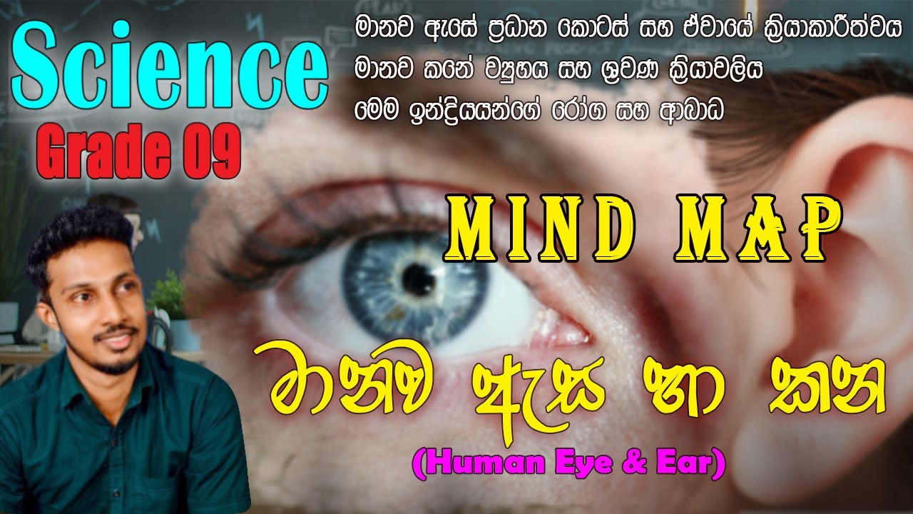 9 ශ්‍රේණිය විද්‍යාව | මානව ඇස හා කන (Human Eye & Ear) | ලේසියෙන්ම මතක තියාගන්න Mind Map ක්‍රමය! 🧠