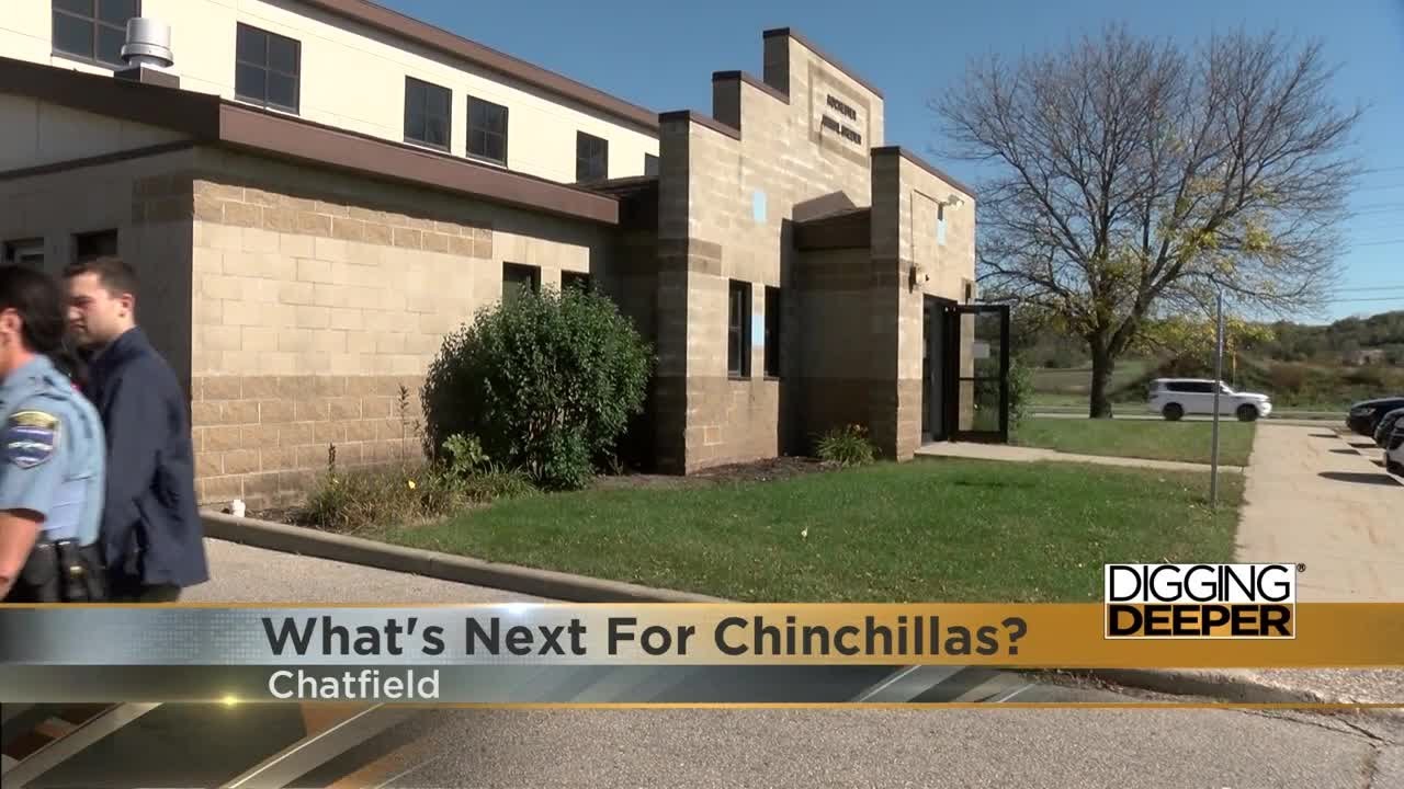 After federal ruling on Moulton chinchilla ranch, what&rsquo;s next for the animals?