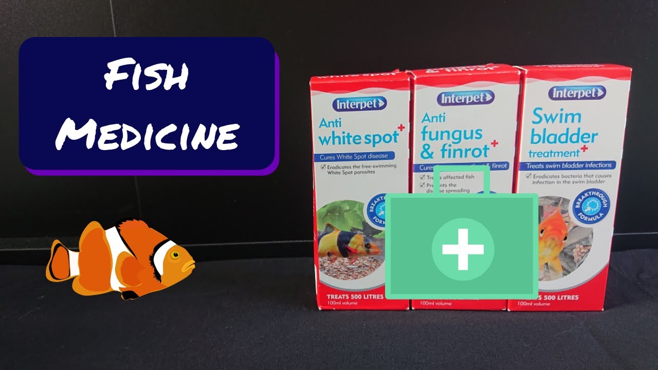 Types of Fish Medicine