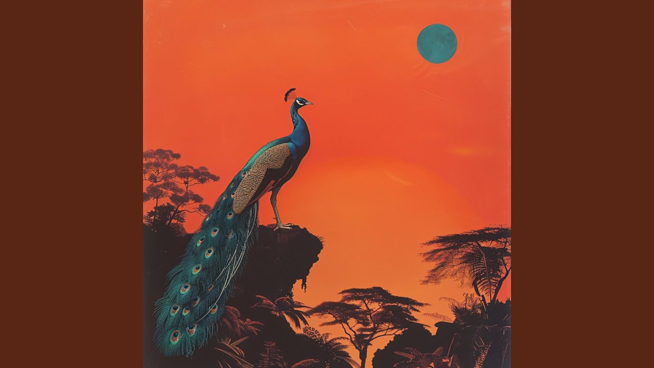 Afro Tamba Tamba (the shakedown)