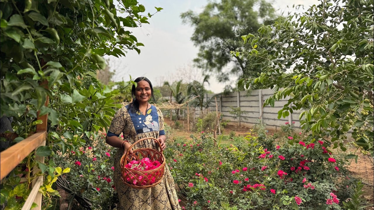 part-1 Let's show you our farm and pick fruits and vegetables.