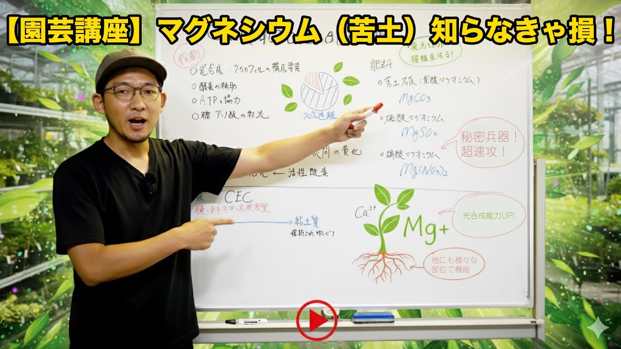 苦土（マグネシウム）成分総まとめ基礎講座【光合成の要】