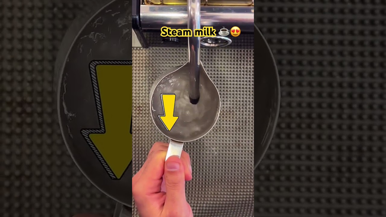 How to steam Malik ￼ barista￼ skills barista knowledge coffee maker ￼ coffee trainer #homebarista