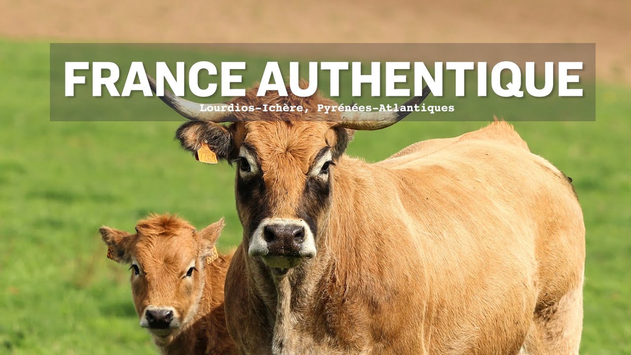France authentique | Lourdios-Ichère, Pyrénées-Atlantiques