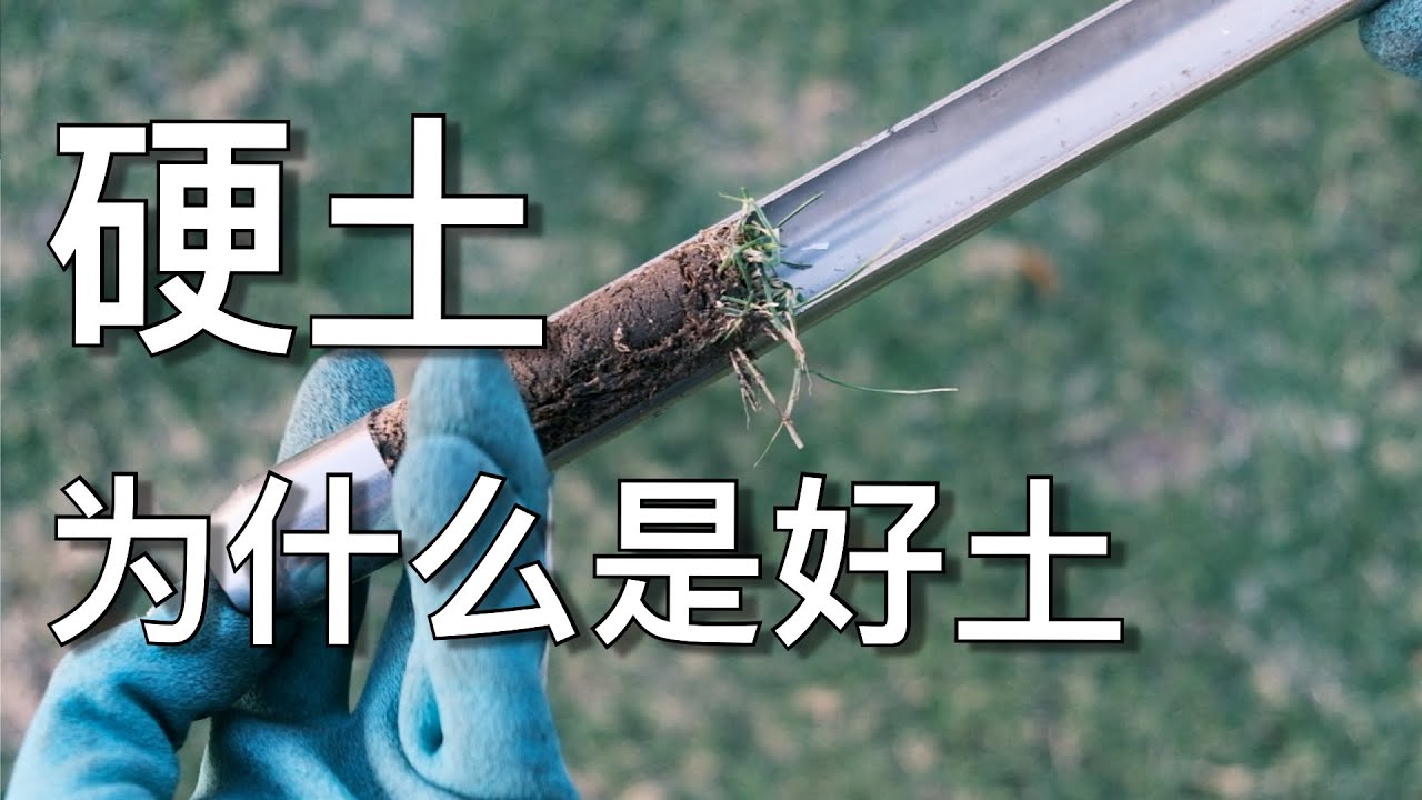 硬土黏土到底能不能种草 - 正确的改良土壤的方式 - How to grow lawn on clay soils | KK和Kathy 的后花园