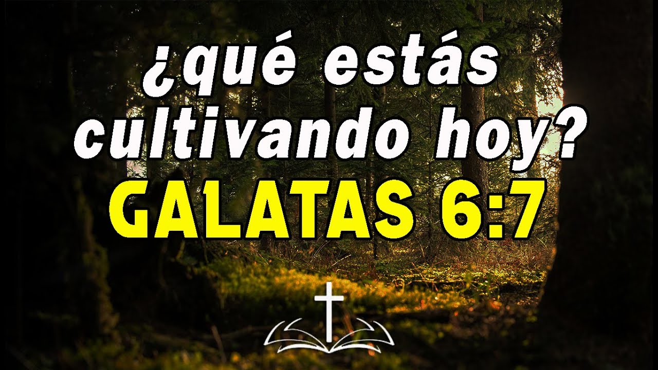 Gálatas 6:7 Lo que siembras, cosechas