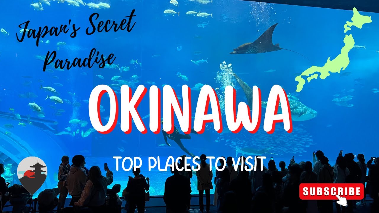 The Ultimate Okinawa Travel Guide: Beaches, Food, and Nightlife |  JAPAN TRAVEL VLOG