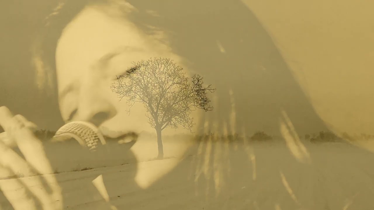Alireza Mortazavi with Annie Barbazza   --  Chasing The Wind (official)