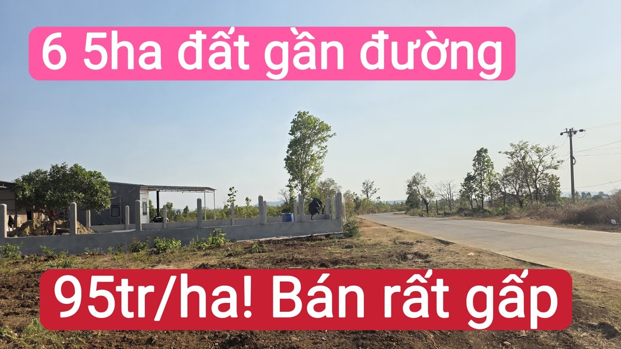 B&aacute;n đất rẫy gi&aacute; rẻ gần d&acirc;n cư, đất trồng c&agrave; ph&ecirc; ti&ecirc;u, dau tằm gi&oacute; bầu, bất động sản n&ocirc;ng nghiệp