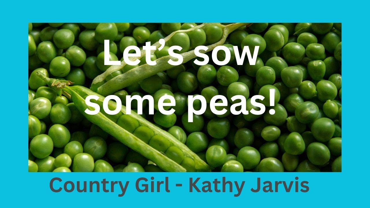 Watch This Before Planting Your Spring Peas 2025!