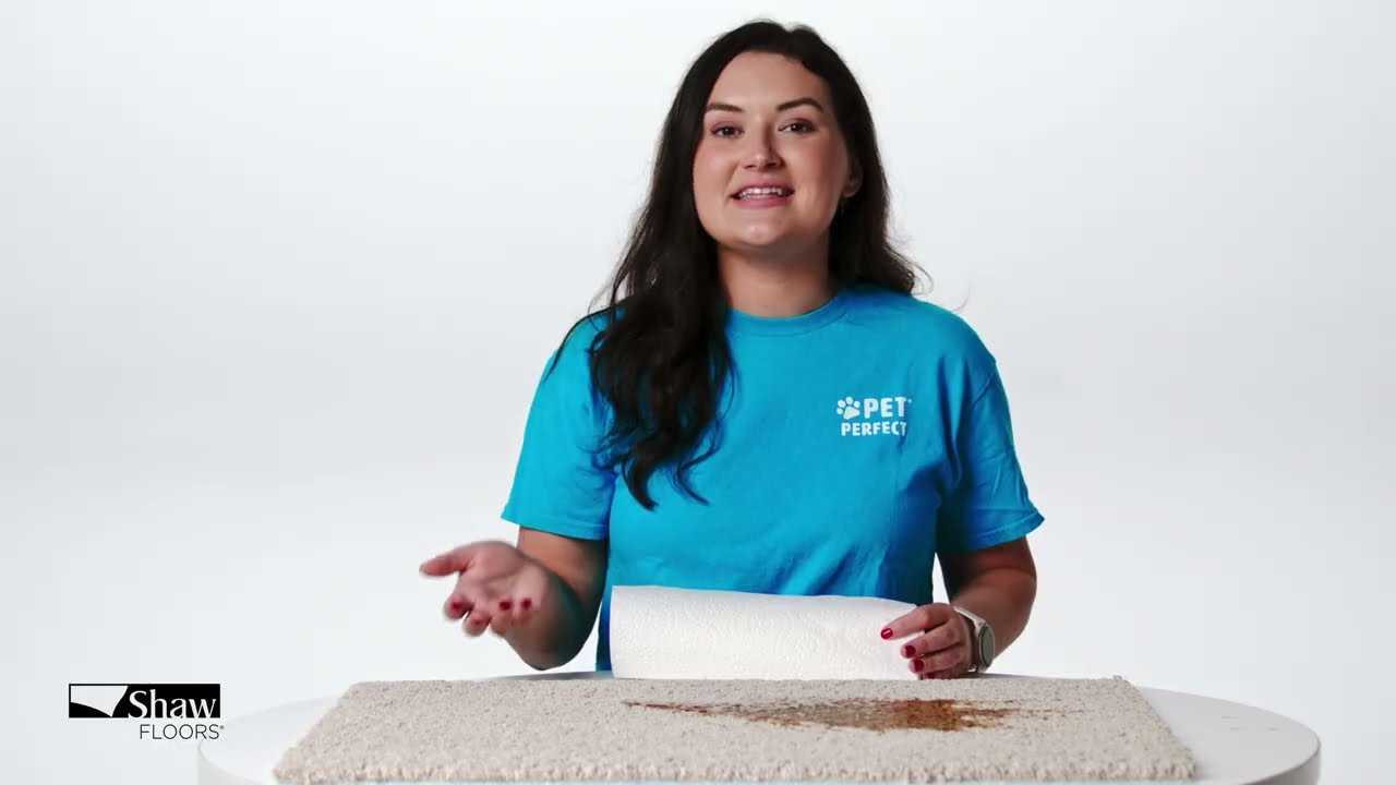 How to remove coffee spills from Pet Perfect carpet