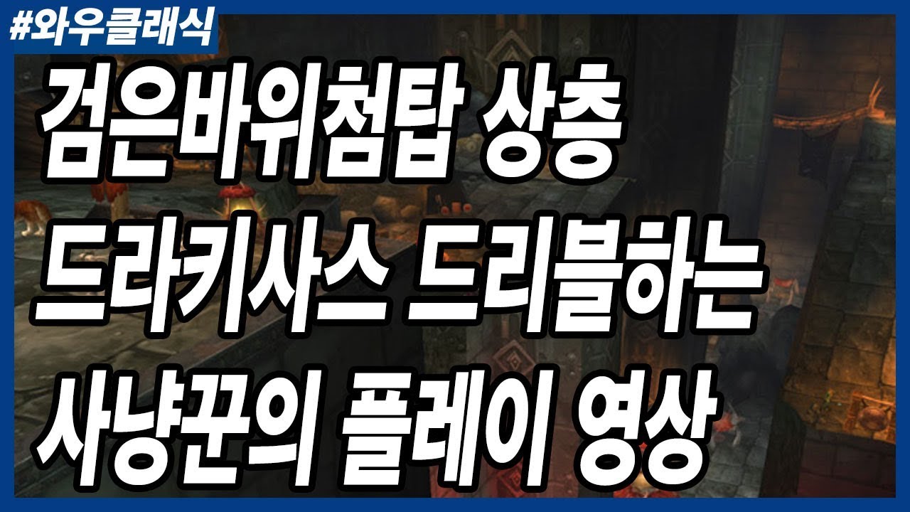 검은바위첨탑 상층 드라키사스 드리블 영상! 사냥꾼 유저라면 해야하는 것! [와우 클래식]