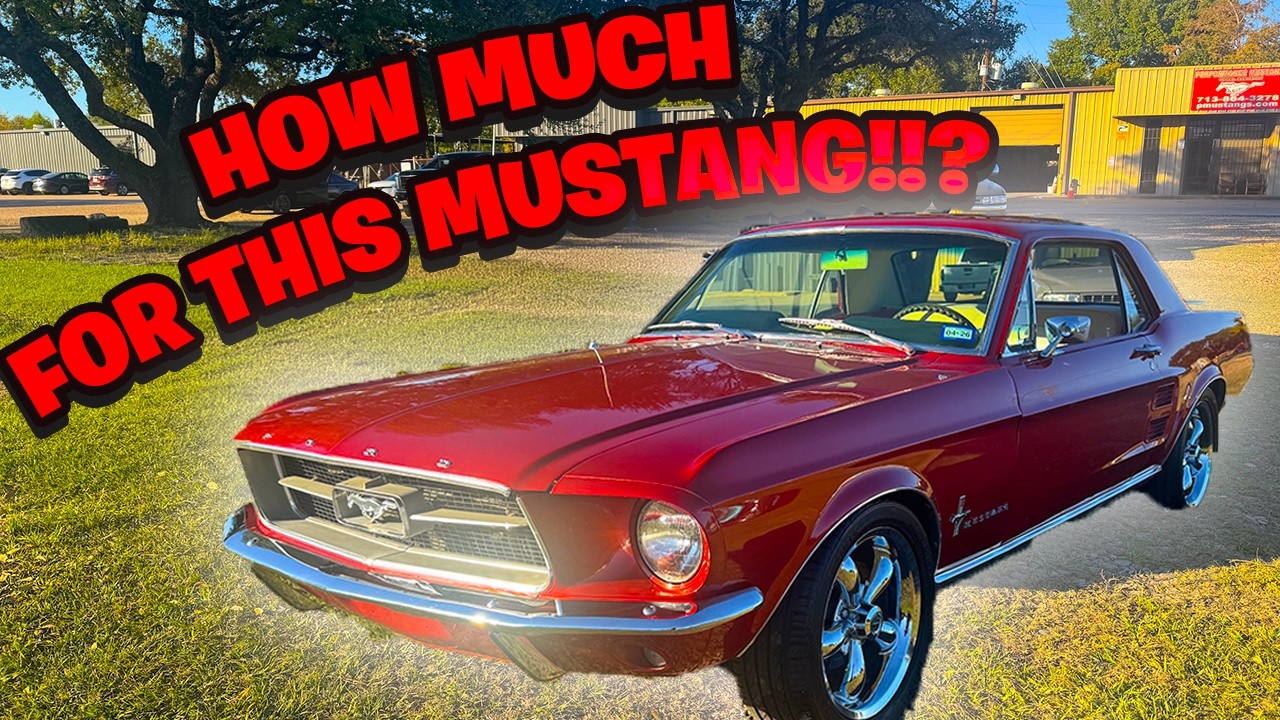 SO MANY RESTORED MUSTANGS!! JANUARY LOT WALK THROUGH