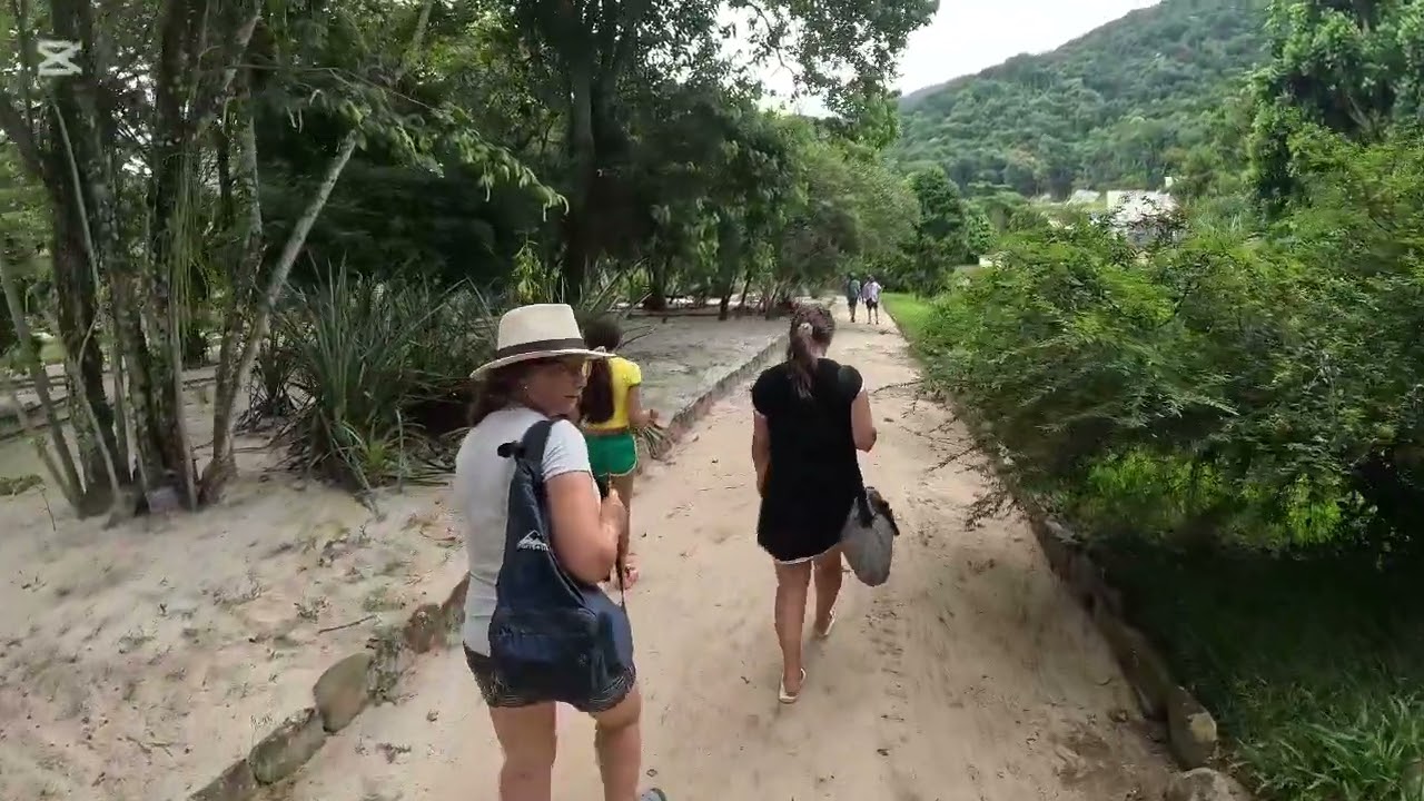 Jardin botánico Río de Janeiro 