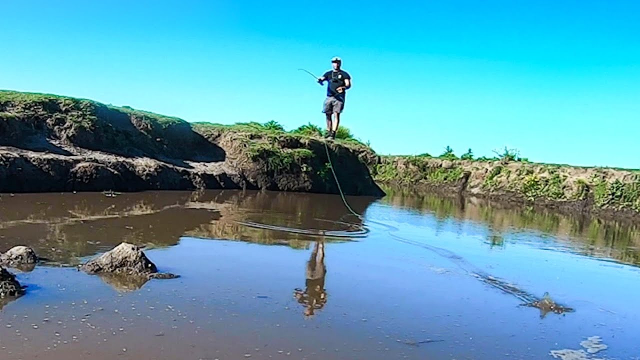 D&Iacute;AS DE PESCA Y AVENTURA por rios, arroyos y campos. PESCA URBANA