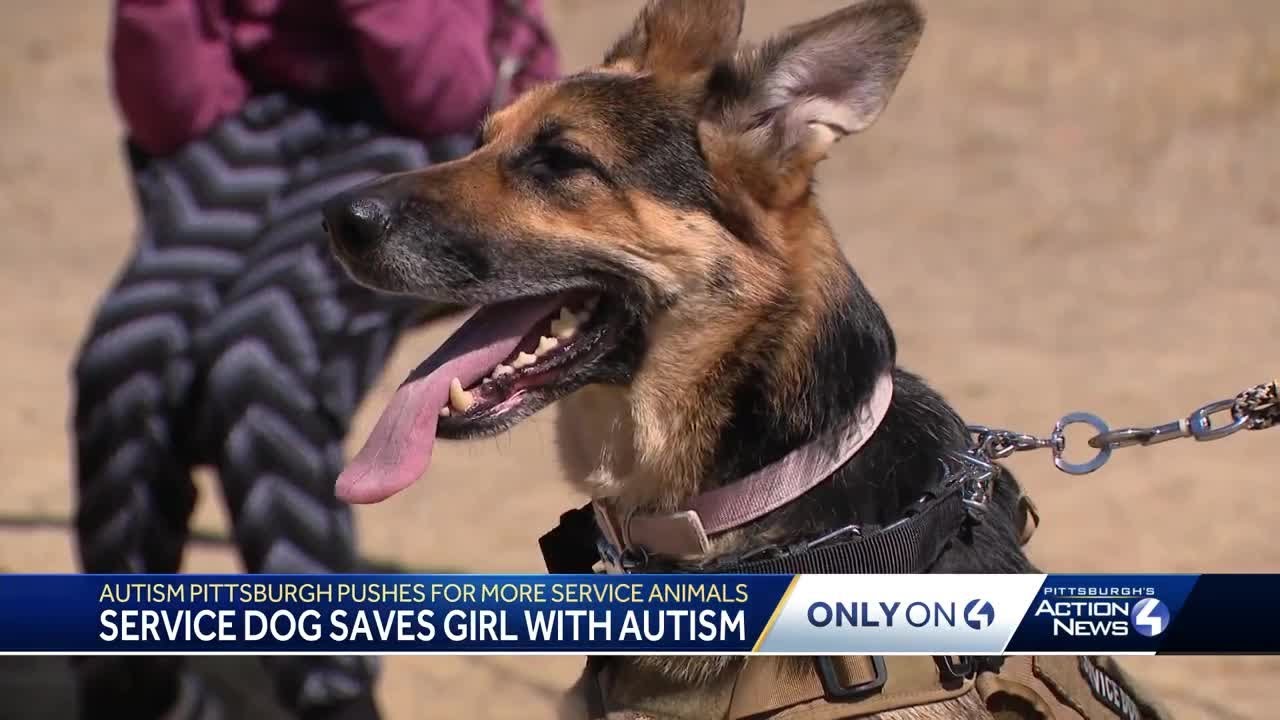 Service dog saves non-verbal girl with autism near water