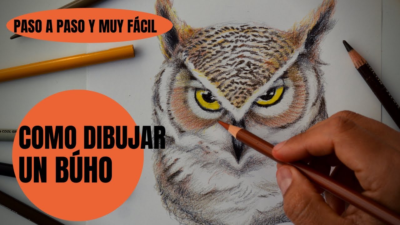 Tutorial Como Dibujar Un Búho Realista Paso a Paso