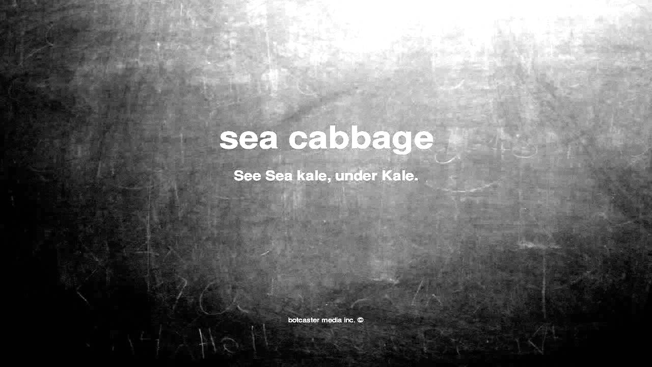 What does sea cabbage mean
