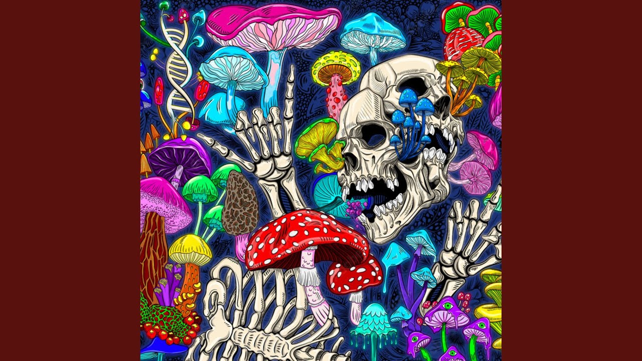 MC HOPPIS-PSYKOOSIT