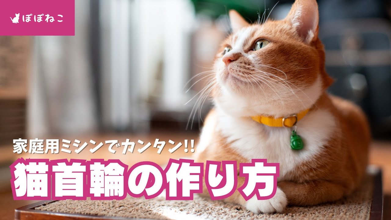 猫首輪の作り方｜家庭用ミシンで15分で作れるハンドメイド猫首輪｜How to sew a Breakaway Cat Collar