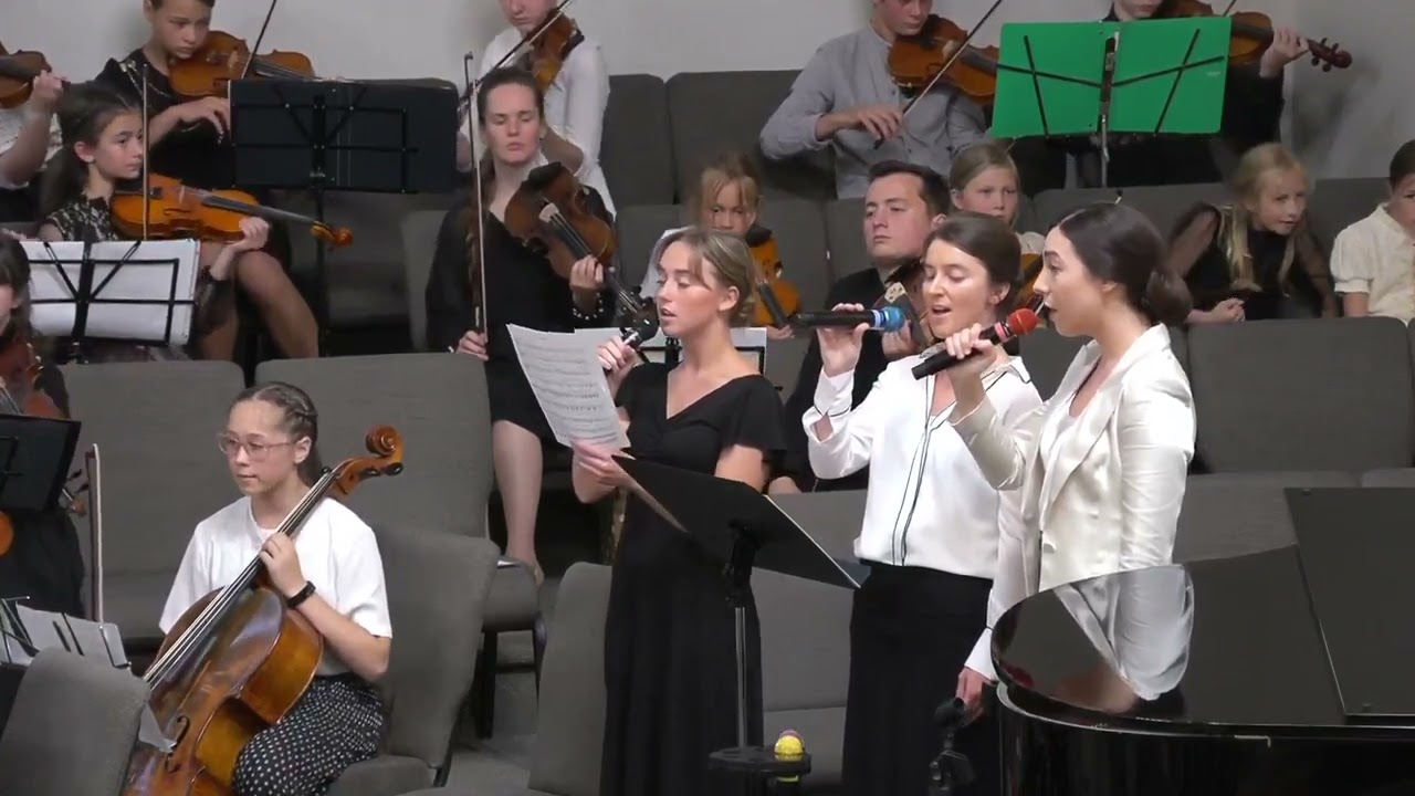 Добрые руки с неба || Скрипичный оркестр