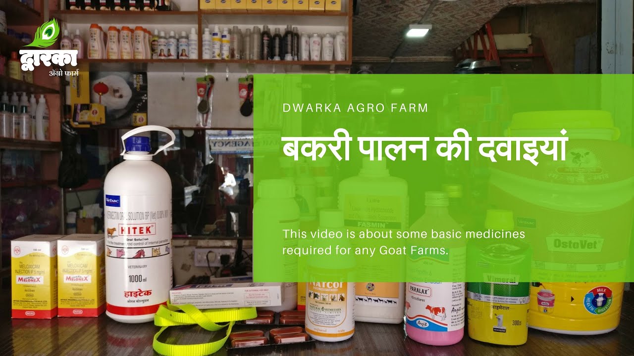 Goat Farming Medicines/बकरी पालन की दवाइयां/ शेळी पालन प्राथमिक औषधें.
