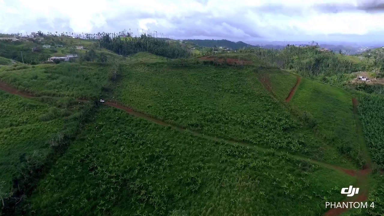 Flying around Comerio 🇵🇷