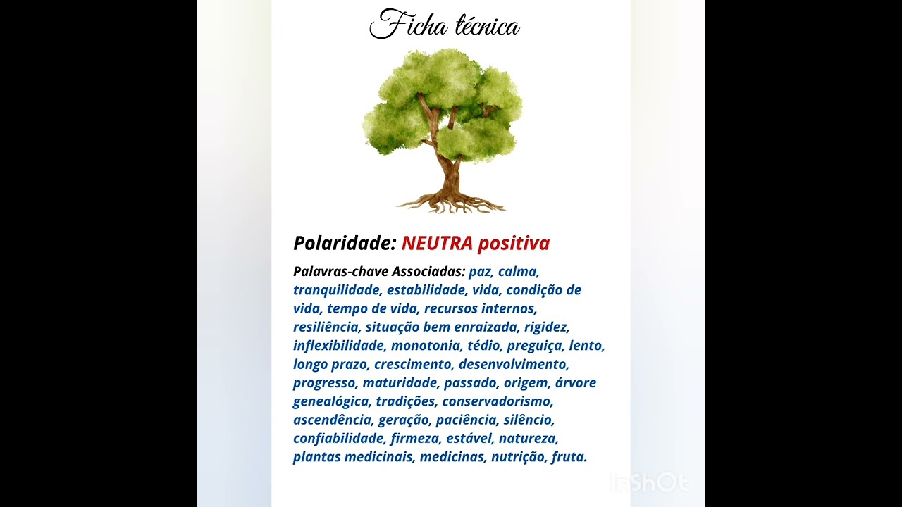05- A Árvore 🌳 Baralho cigano - Petit Lenormand 