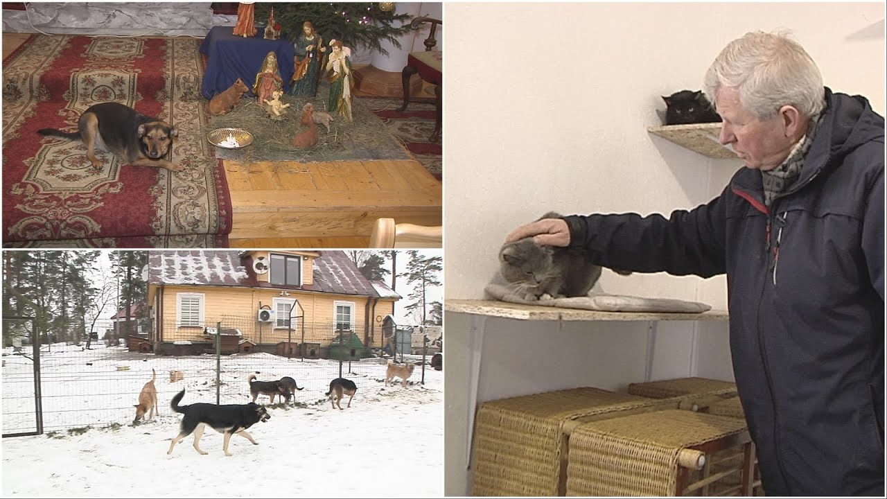 Šunys ir mišiose: Dzūkijos kunigas priglaudė net 130 keturkojų