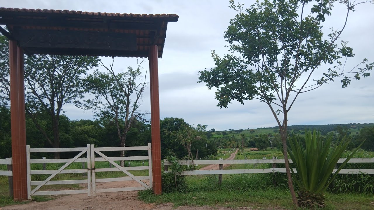   #Caminhada   #fazenda Santa  Clara    flores do mato   lote  na  #roça 