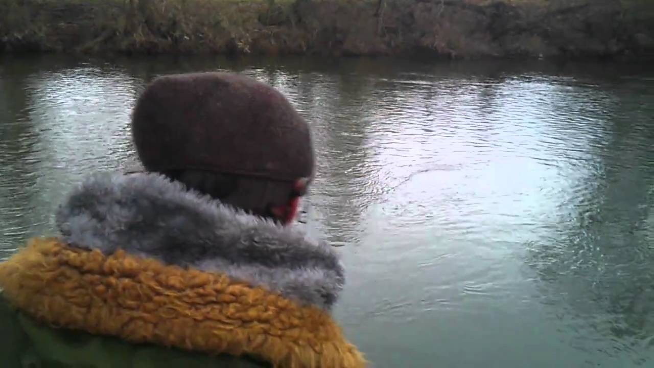 River Wye Barbel