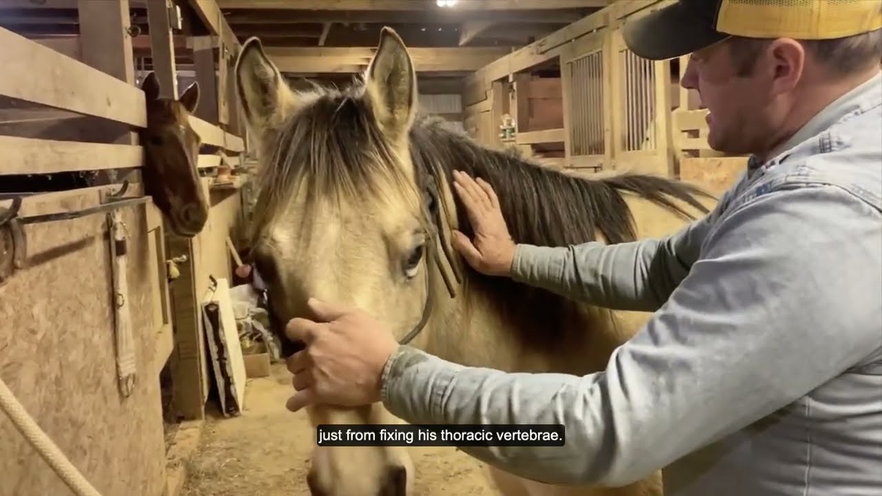 LCAO Student Performs OAB Technique to Diagnose and Treat Somatic Dysfunction