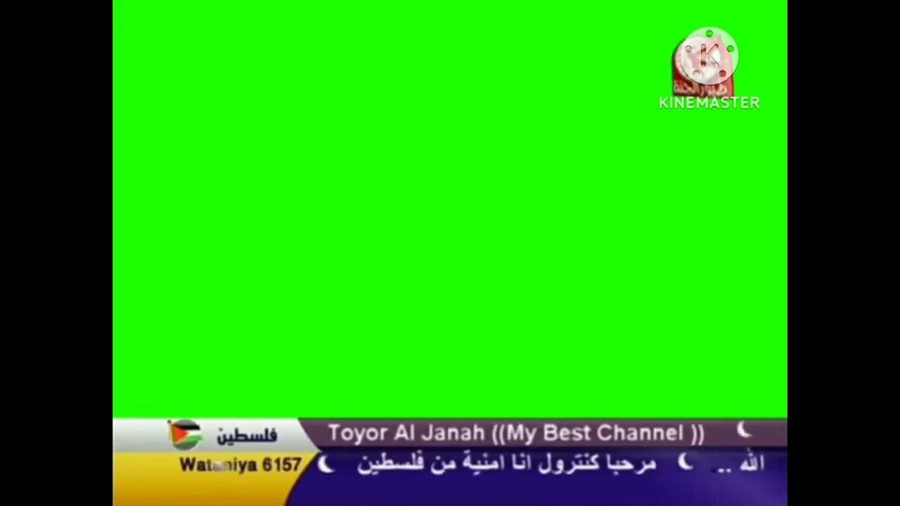 طيور الجنة بث مباشر 2009 شاشة أخضر
