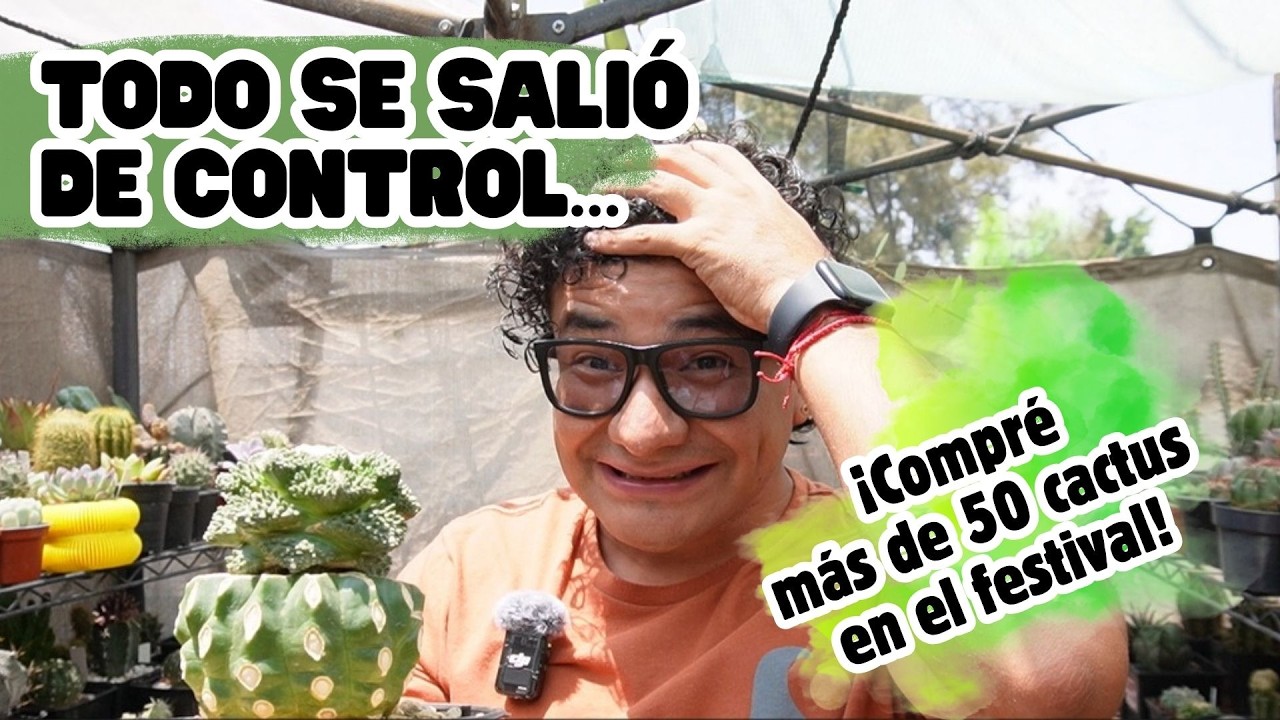 Todo se salió de control… ¡Compré más de 50 cactus en el festival!