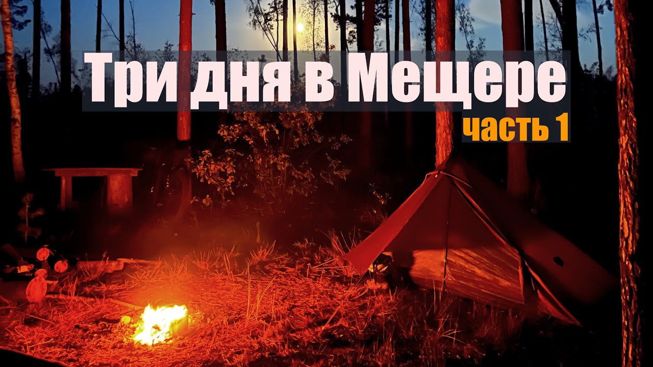 Мещера по треку Тур Юнайт на велосипеде | Сосна Исполин | Озеро Комгарь