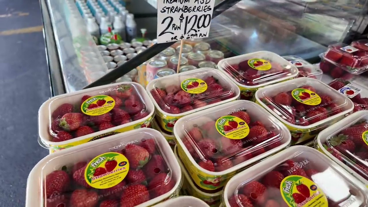 🇦🇺 Melbourne Vlog: เดินตลาด Queen Vic Market ฉบับคนโลคอล | ตามหาของมือสอง & สวรรค์คนรักชีส 🧀✨ Mar26