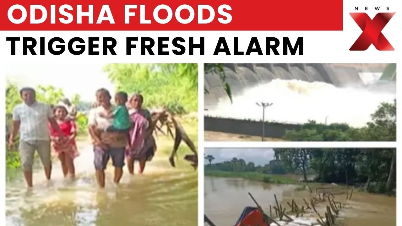 Odisha Floods: Heavy Rain Swells Rivers, 12 Hirakud Gates Opened As Flood Threat Grows