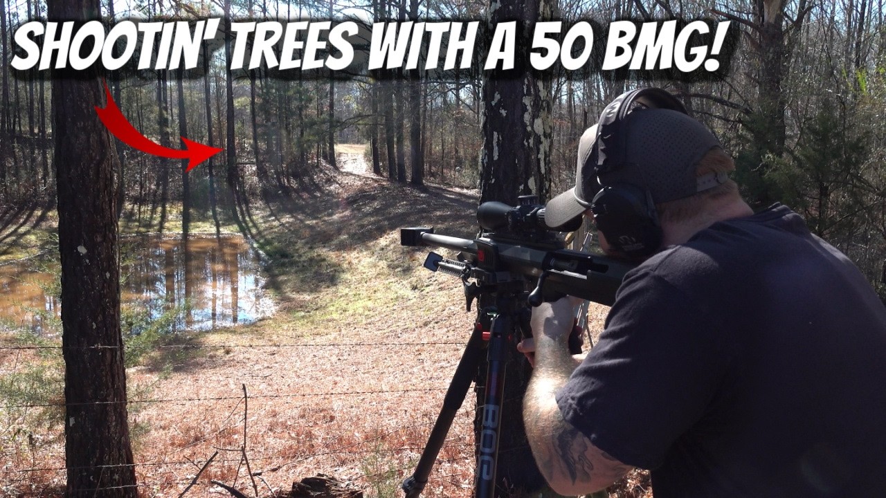 Cutting A Tree Down With A 50 CAL BMG!