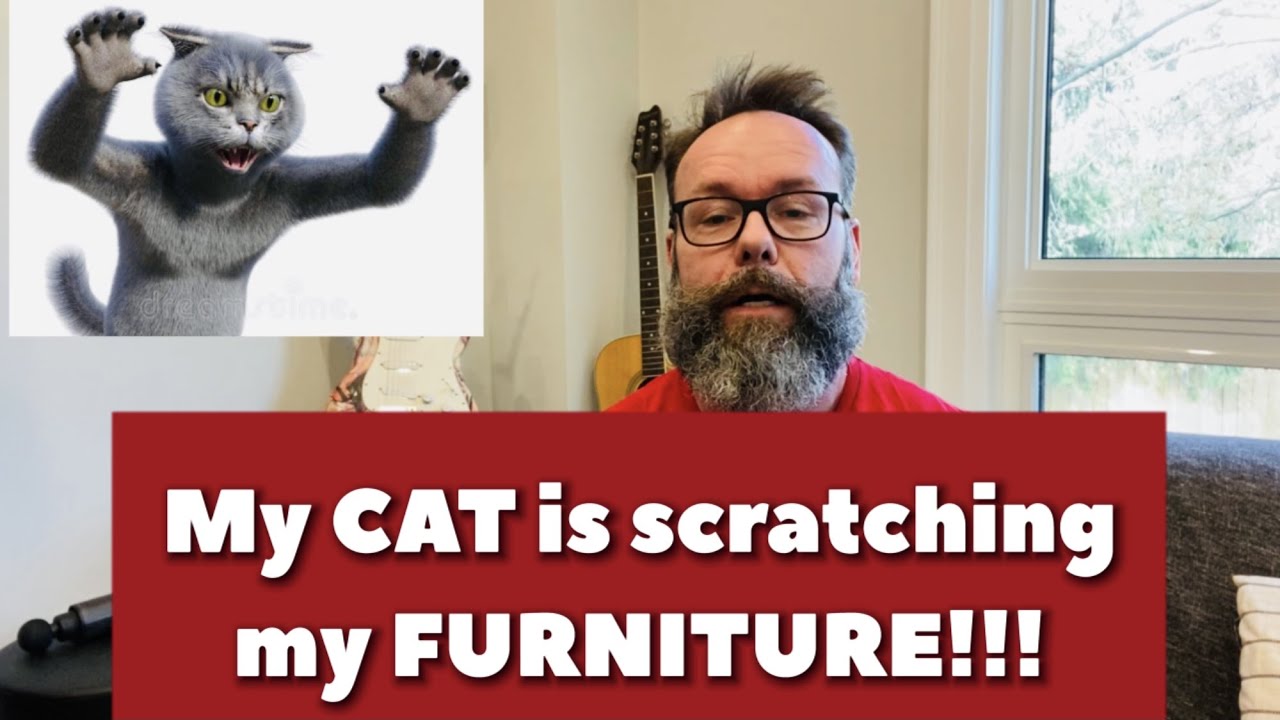 Why You Shouldn't Declaw Your Cat