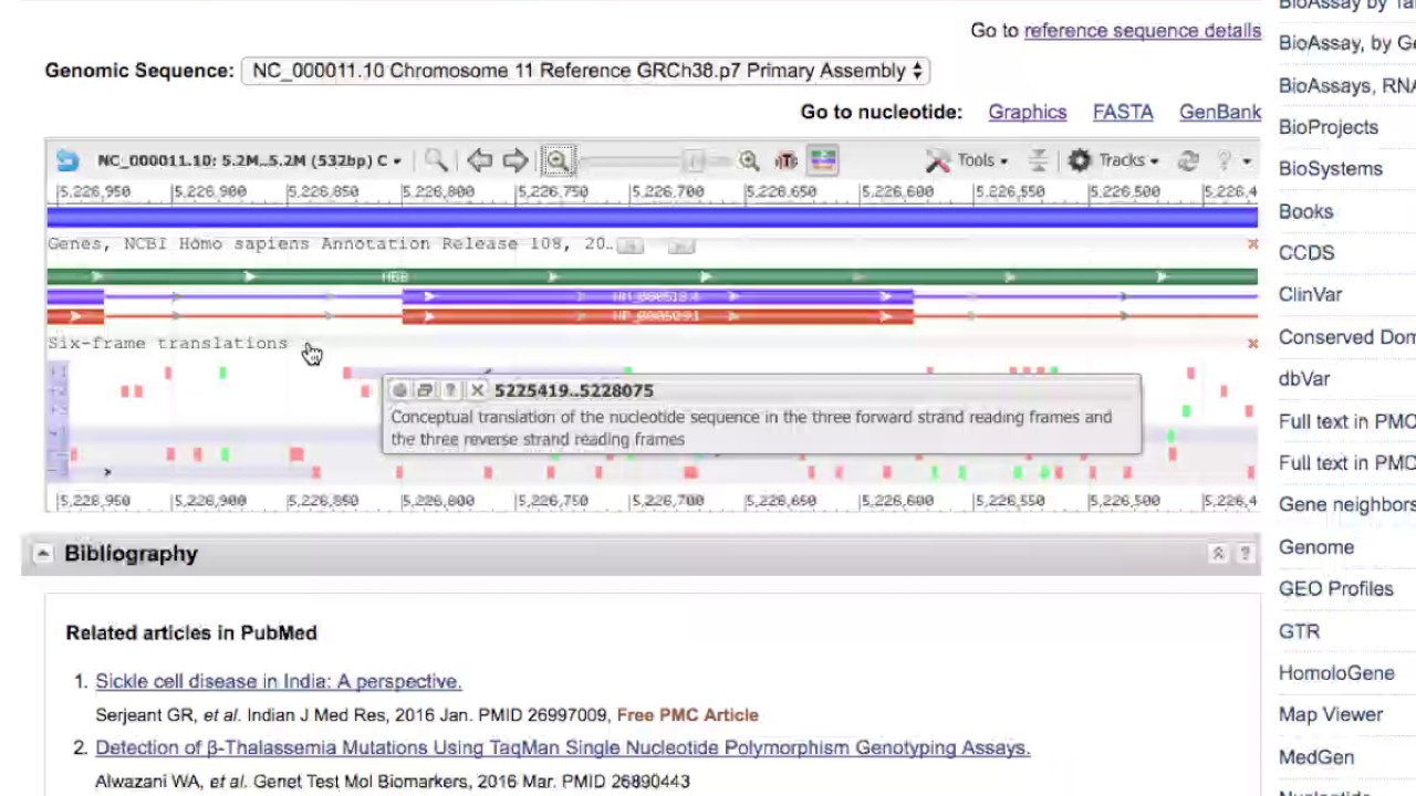 NCBI sequence viewer